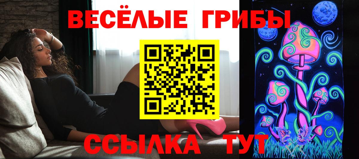 Псилоцибиновые грибы Psilocybe Альметьевск