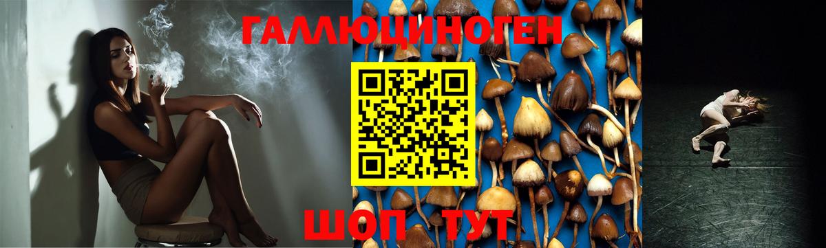 Псилоцибиновые грибы Cubensis  Вход с VPN  Альметьевск  Галлюциногенные грибы ЛСД 